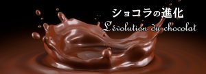 ショコラの進化 L'evolution du chocolat