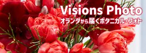 Visions Photos - Botanical photos