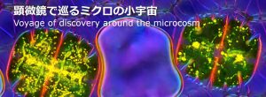 顕微鏡で巡るミクロの小宇宙