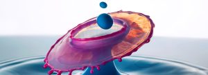 マクロ写真を専門とする有名なドイツ人写真家のフランク・フォックス